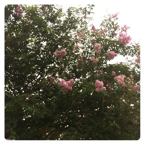 Meet your Posher, Sofia